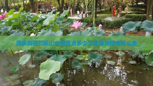 酒泉到四川乐山大佛景点