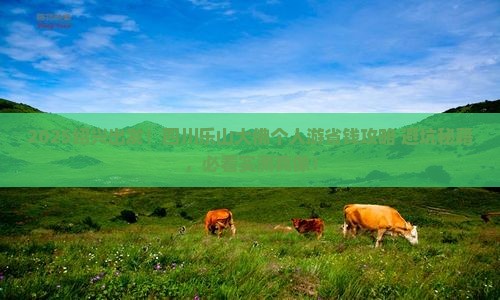 绍兴去四川乐山大佛个人游