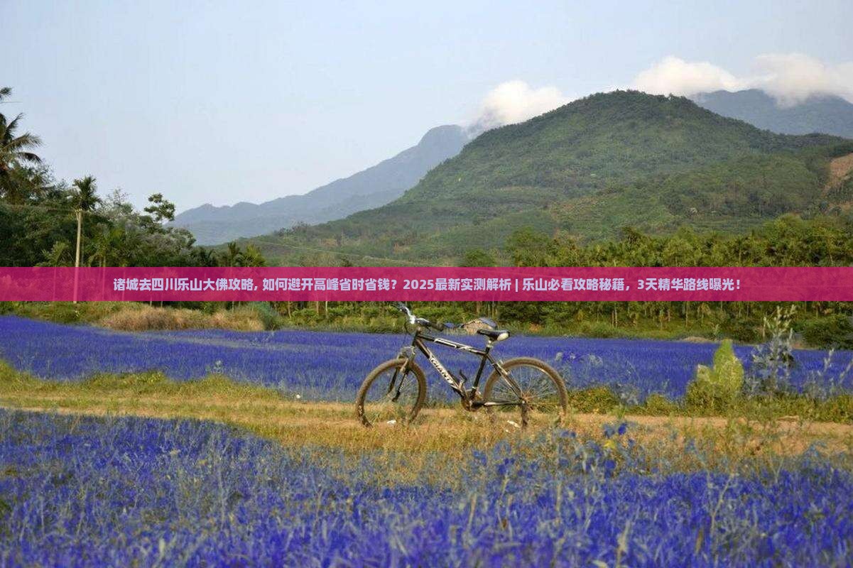 诸城去四川乐山大佛攻略