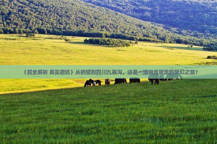 鹤壁去四川九寨沟一日 鹤壁去四川九寨沟一日