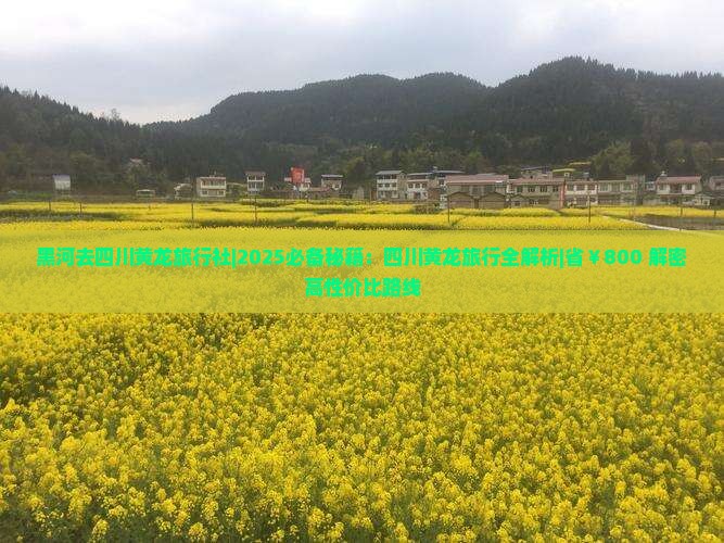 黑河去四川黄龙旅行社