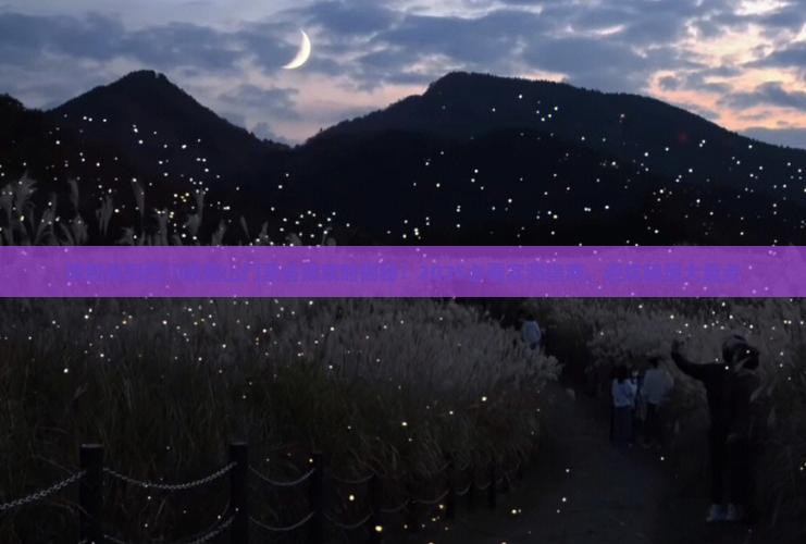 阿勒泰到四川峨眉山门票