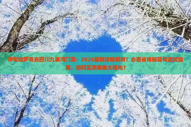 伊犁哈萨克去四川九寨沟门票