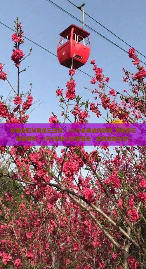 东莞去四川黄龙三日游