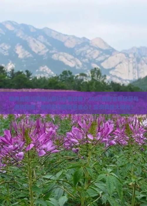 朔州去四川青城山旅行社