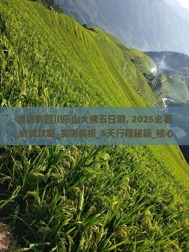 潍坊到四川乐山大佛五日游
