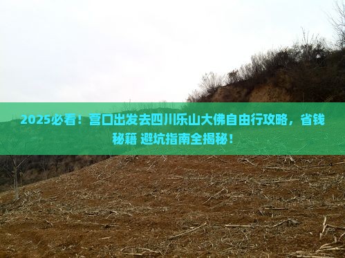 营口去四川乐山大佛自由团