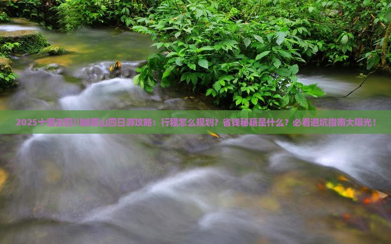 十堰去四川峨眉山四日游