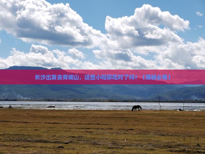 长沙到四川青城山旅游小吃
