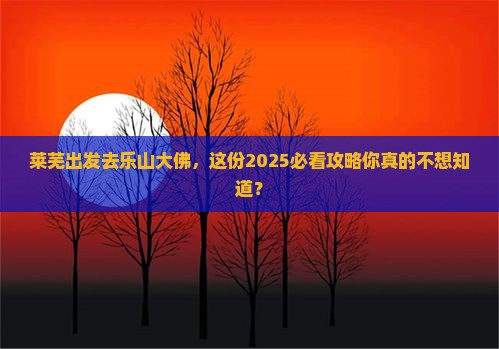 莱芜到四川乐山大佛个人游