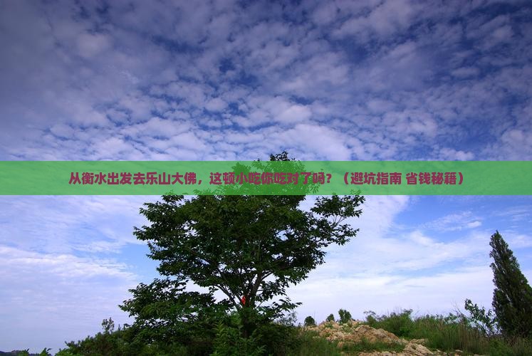 衡水到四川乐山大佛旅游小吃