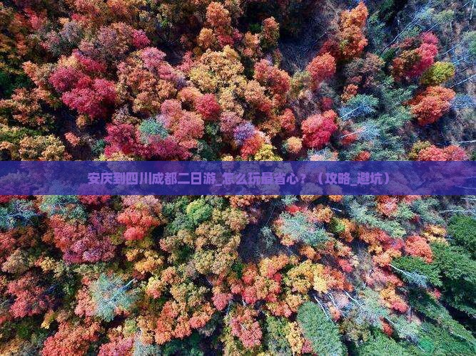 安庆到四川成都二日游