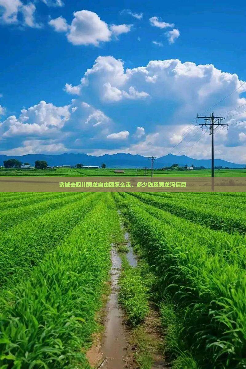 诸城去四川黄龙自由团