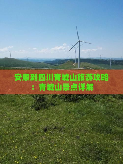 安顺到四川青城山哪里玩