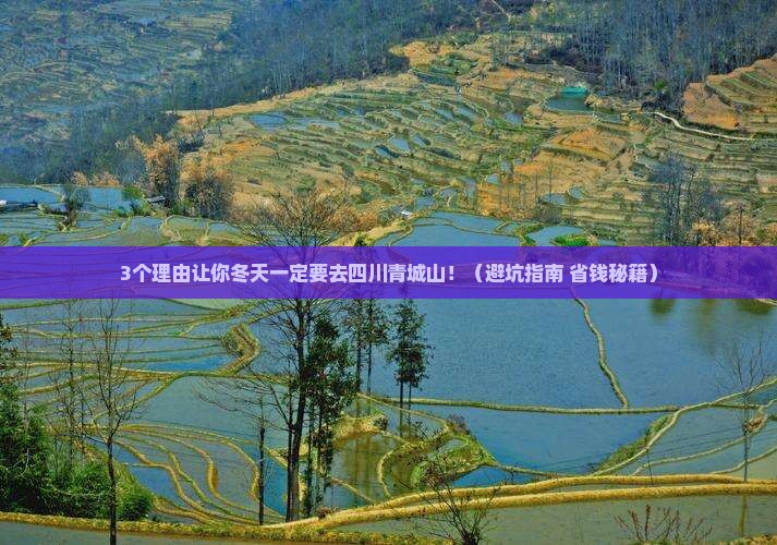 冬天去四川青城山景点
