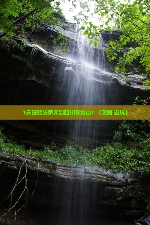 张家界到四川青城山一日