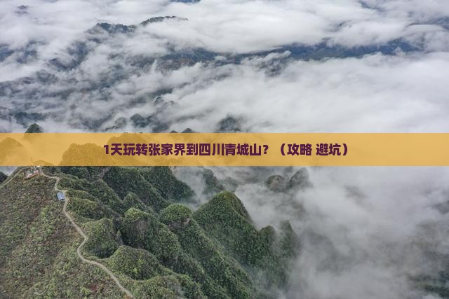 张家界到四川青城山一日