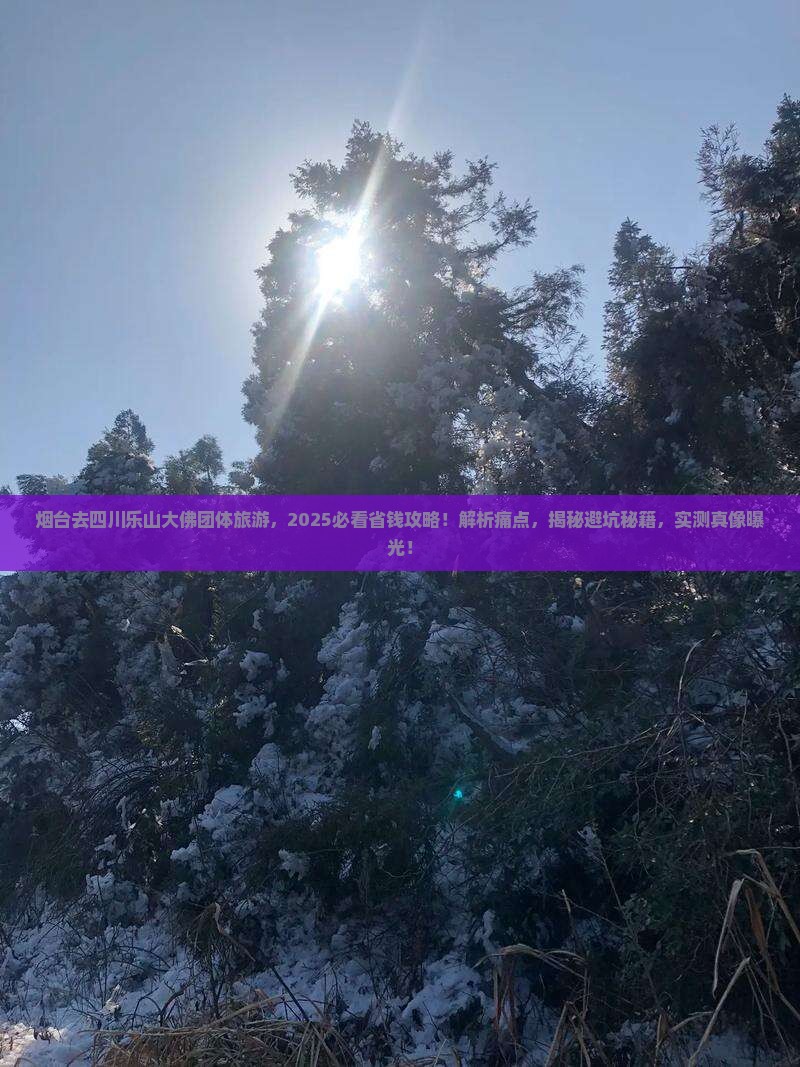 烟台去四川乐山大佛团体旅游
