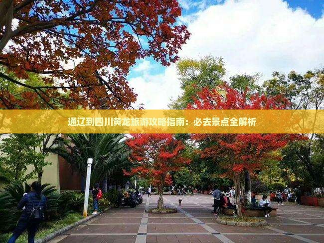 通辽到四川黄龙自由团