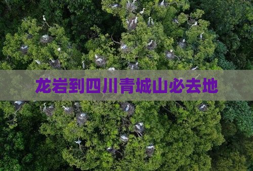 龙岩到四川青城山必去地