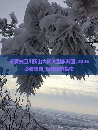 济源去四川乐山大佛大型旅游团