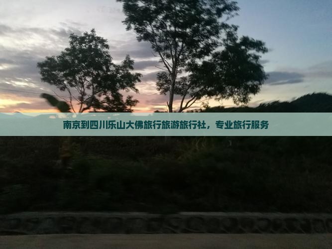南京到四川乐山大佛旅行社