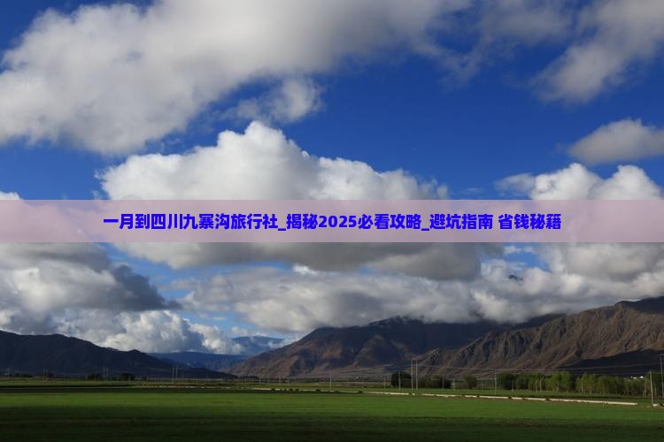 一月到四川九寨沟旅行社