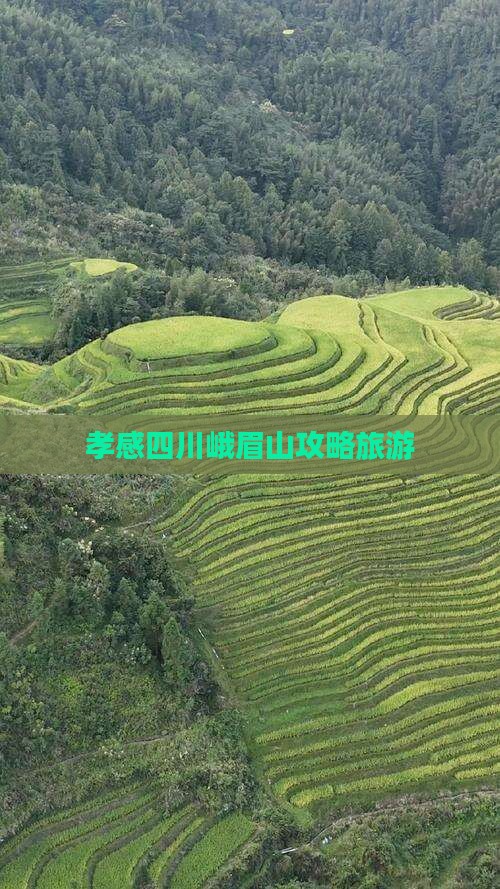 孝感到四川峨眉山自由团
