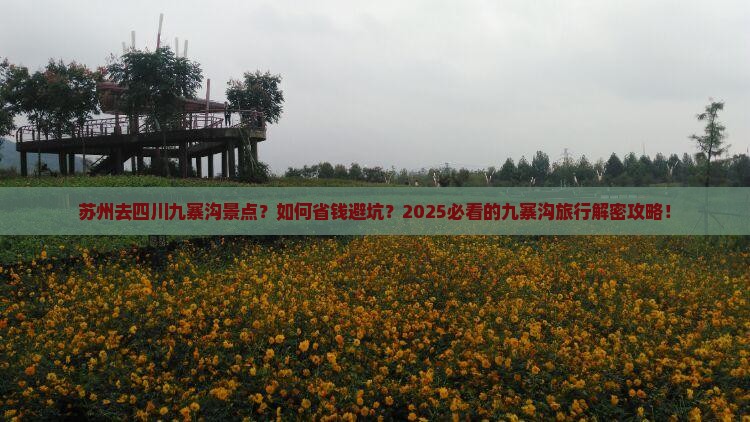 苏州去四川九寨沟景点