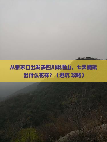 张家口去四川峨眉山七日游
