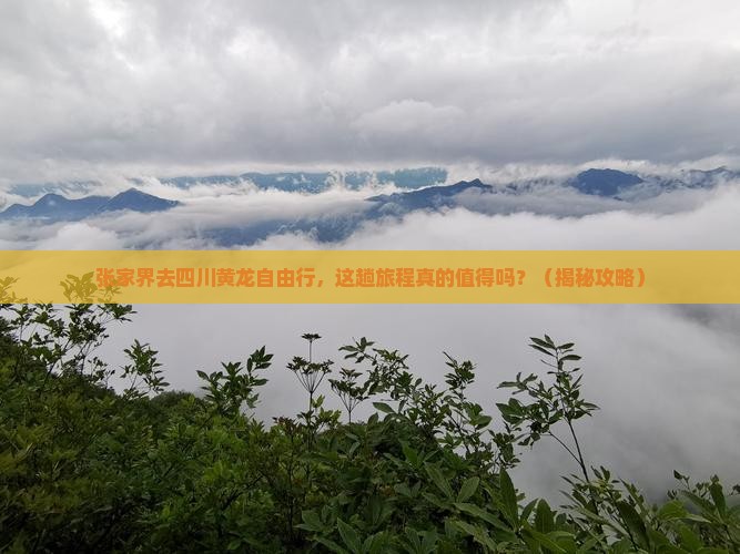 张家界去四川黄龙自由行