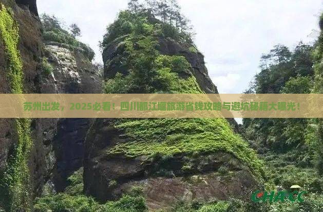 苏州去四川都江堰旅游