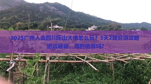 广州到四川乐山大佛个人游