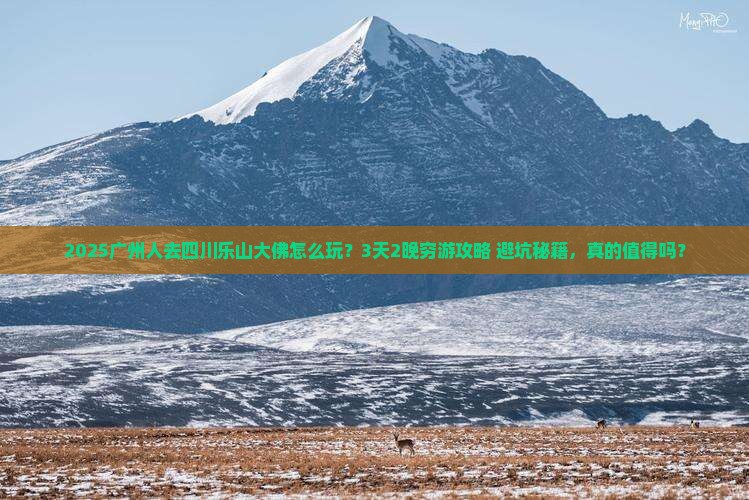广州到四川乐山大佛个人游