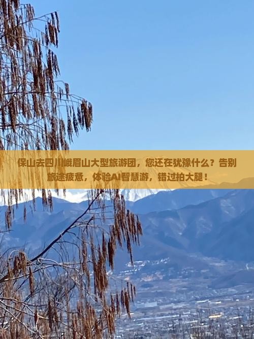 保山去四川峨眉山大型旅游团