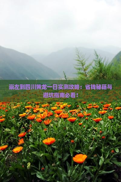 崇左到四川黄龙一日
