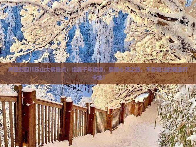 鸡西到四川乐山大佛景点