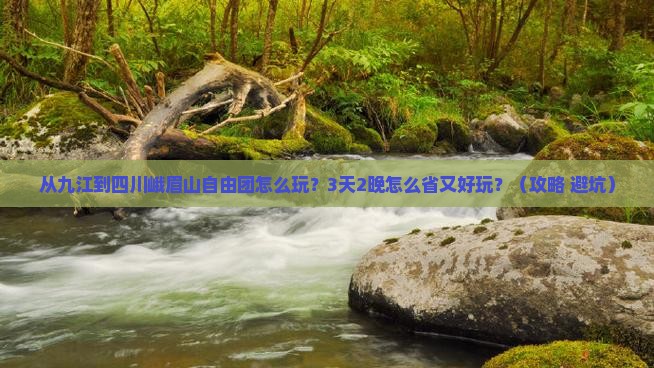 九江到四川峨眉山自由团