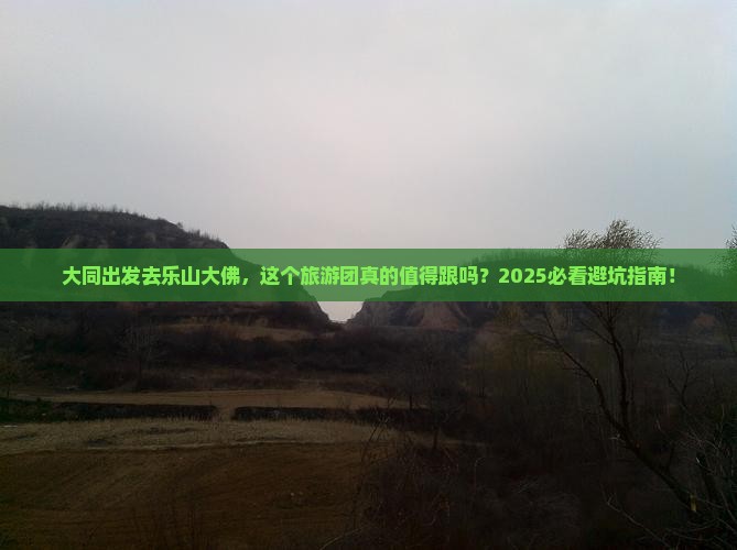 大同去四川乐山大佛大型旅游团