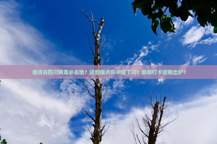曲靖去四川黄龙必去地