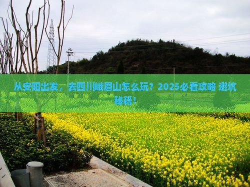 安阳去四川峨眉山旅游