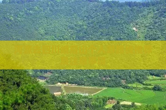 河源去四川峨眉山个人游