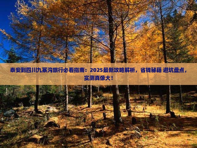泰安到四川九寨沟旅行社