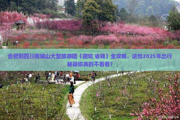 合肥到四川青城山大型旅游团 合肥到四川青城山大型旅游团