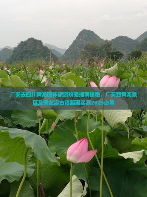 广安去四川黄龙团体旅游 广安去四川黄龙团体旅游