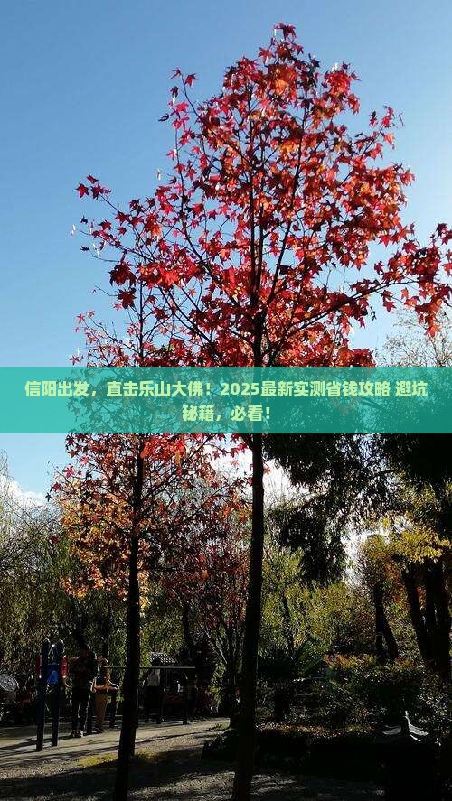 信阳去四川乐山大佛旅游