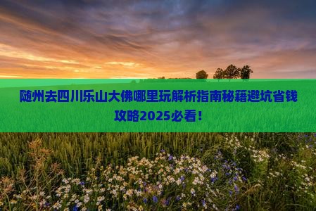 随州去四川乐山大佛哪里玩