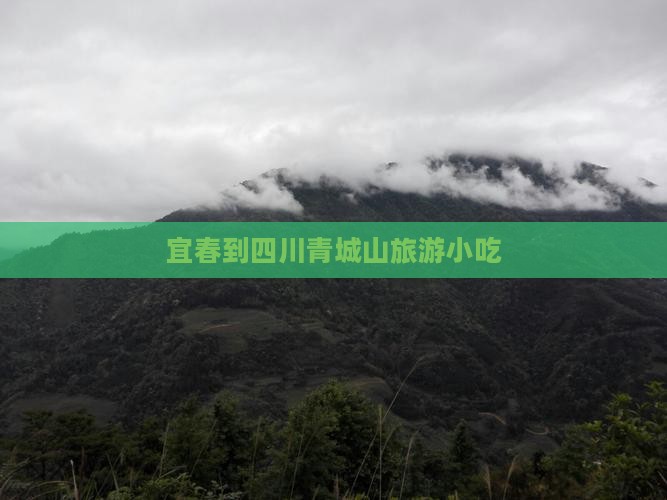 宜春到四川青城山旅游小吃