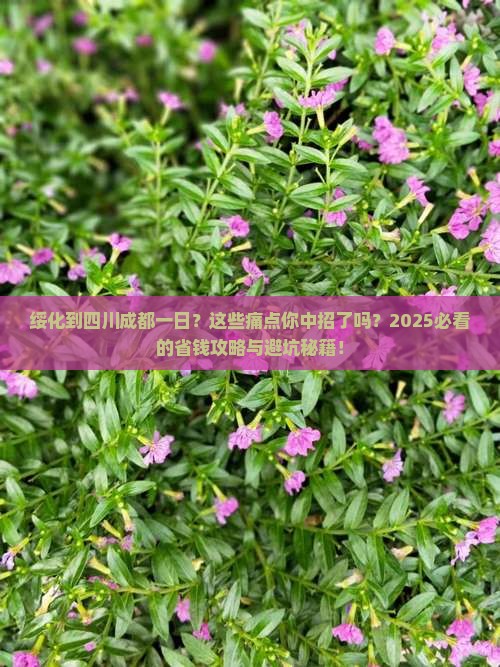 绥化到四川成都一日