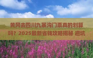 黄冈去四川九寨沟门票
